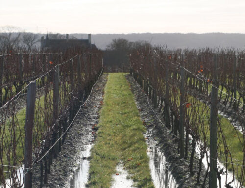 Adaptez votre terroir pour limiter les effets du changement climatique